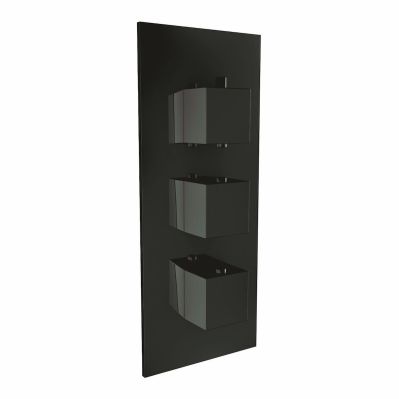 Black Triple Handle, 2 Outlet Concealed Valve