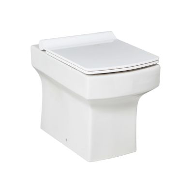 Denza Back to Wall Pan & Slimline Seat