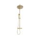 Brushed Brass Round Rigid Riser Shower