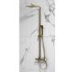 Elliot Brushed Brass Square Rigid Riser Shower